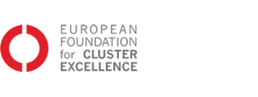 European Foundation for Cluster Excellence
